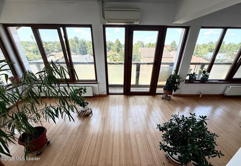 Mogosoaia, casa cu livada, crama si terasa,